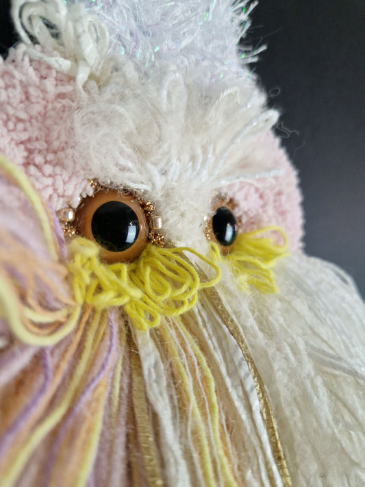 'MOLLI'